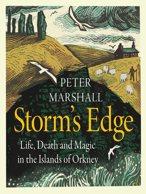 cover image of Storm's Edge
